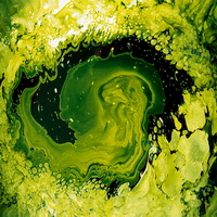 Embrio geel olieverf sine